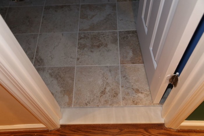 tips for seamless transition from bathroom to hallway flooring terbaru