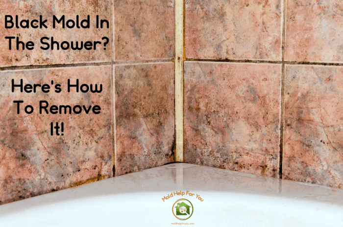 preventing mold and mildew on bathroom floors terbaru