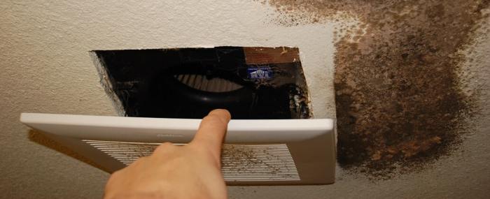 prevent mold with proper bathroom exhaust fan use terbaru