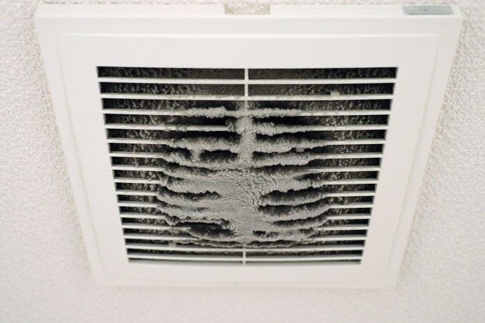 guidance on cleaning bathroom exhaust fan ducts