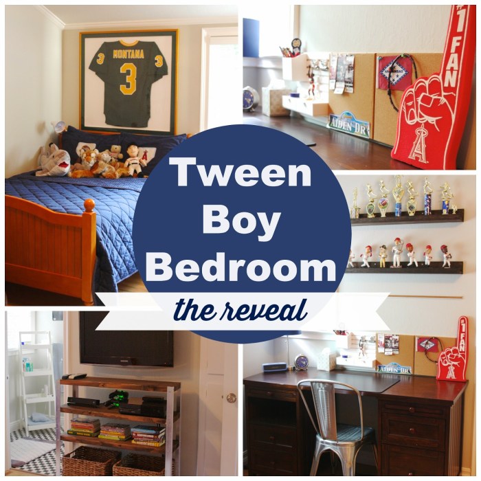 organizational systems for teen bedrooms with collections