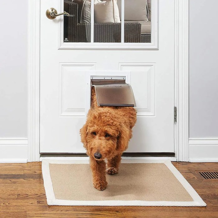 bedroom doors with built-in pet access terbaru